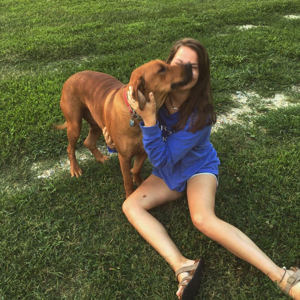 Meet your Posher, Haley